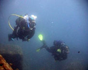 ses2